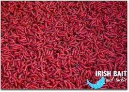 Live Bait /  Casters - Ireland Only Delivery